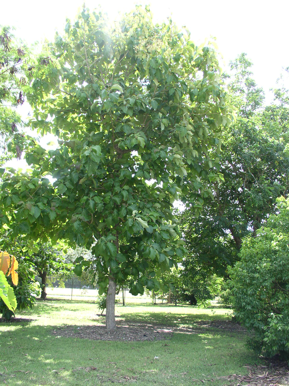 photo1